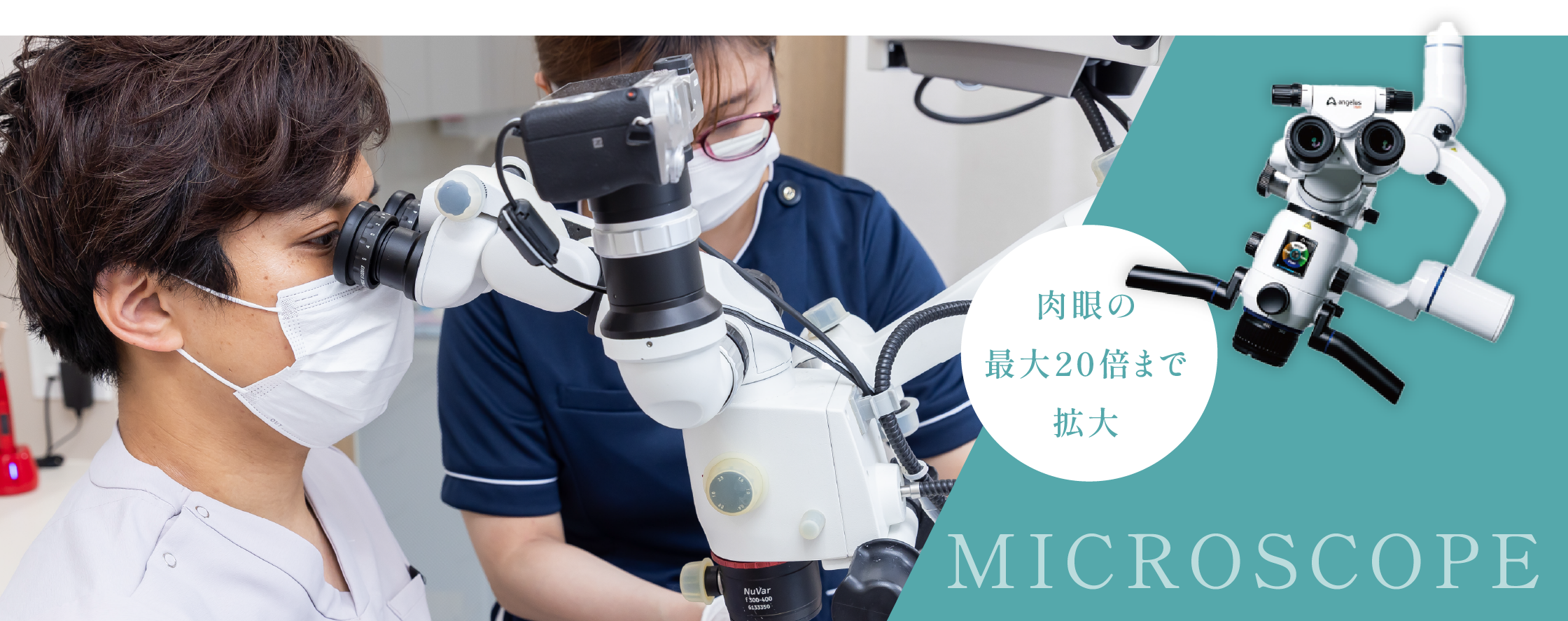 肉眼の最大20倍まで拡大