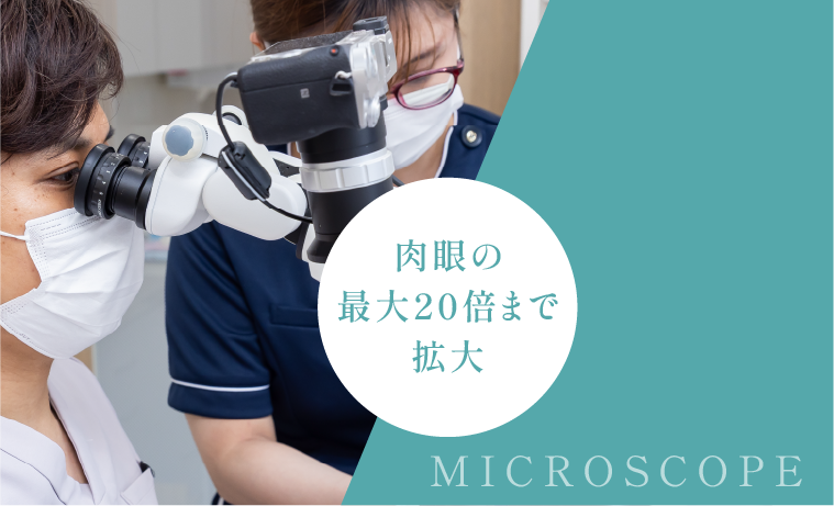 肉眼の最大20倍まで拡大
