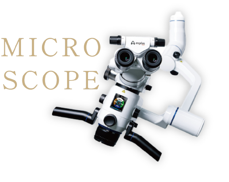 マイクロスコープ