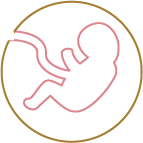 マタニティ検診